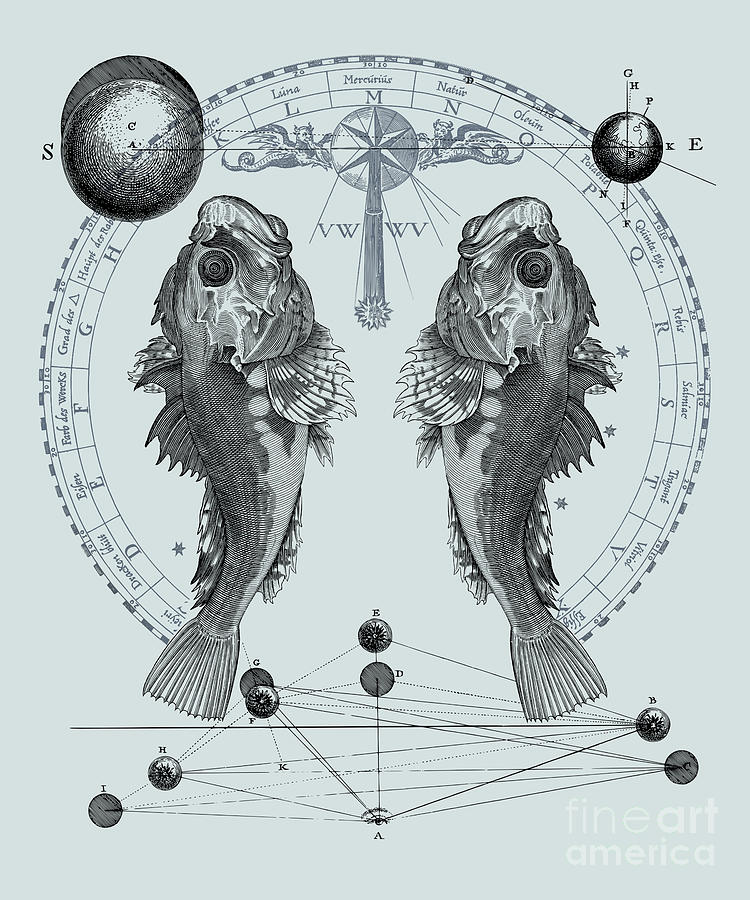 Pisces Zodiac Sign Digital Art by Jindra Noewi
