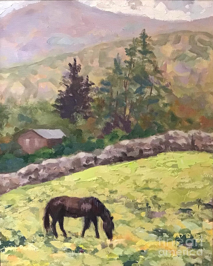 Pisgah Foothills  Painting by Anne Marie Brown