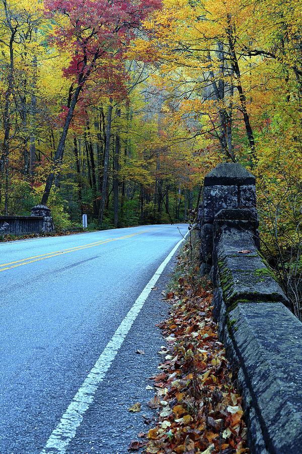 Pisgah Forest Stone Bridge In Fall II Photograph by Carol Montoya