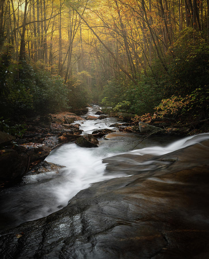 Pisgah National Forest First Light Photograph by Donnie Whitaker