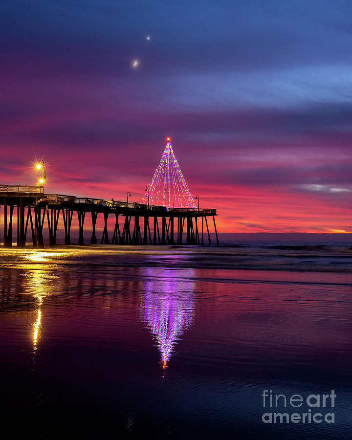 Pismo Beach Christmas Vertical Format Photograph by Mimi Ditchie