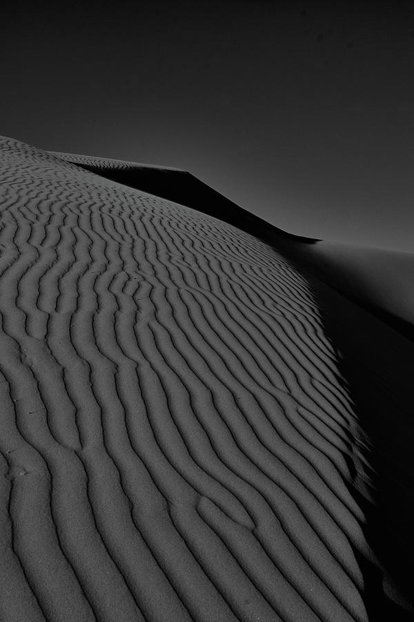 Pismo Dunes Photograph by Niko Eden - Fine Art America