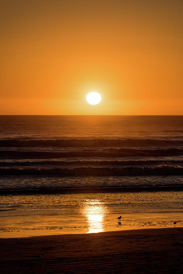 Pismo Sunset With Birds Photograph by FE Two-Six Photography | Fine Art ...