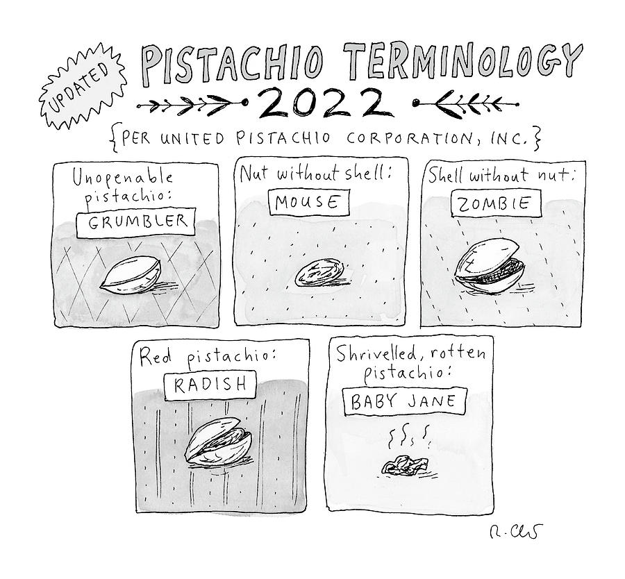 Pistachio Terminology Drawing by Roz Chast