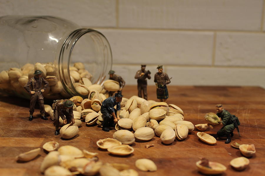 Pistachios Photograph by Army Men Around the House