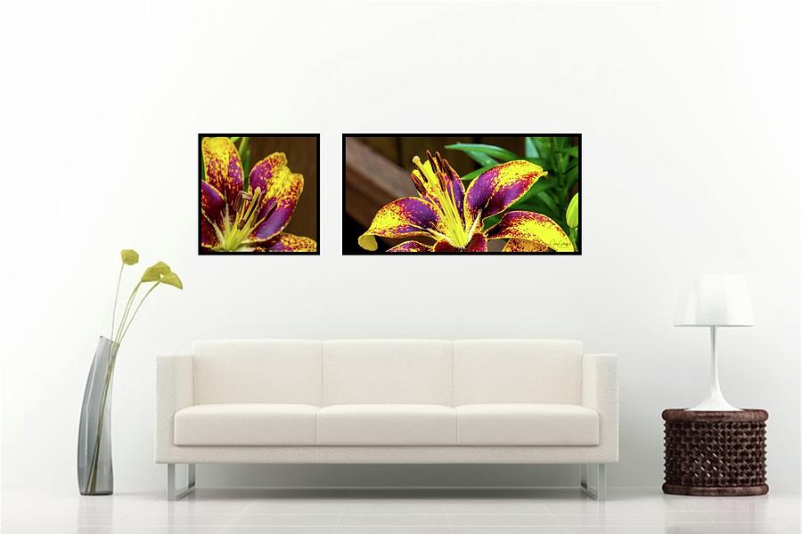 Pistil Duo On The Wall Photograph by Jerry Sodorff