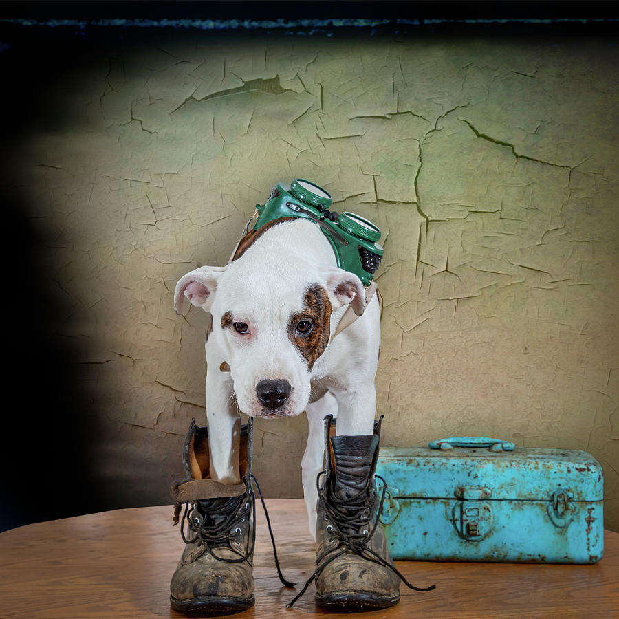 Pit top bull boots