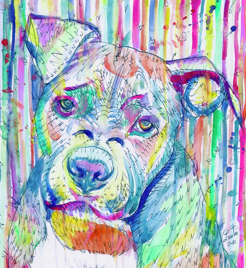 Dog Painting - PIT BULL Watercolor portrait .7 by Fabrizio Cassetta