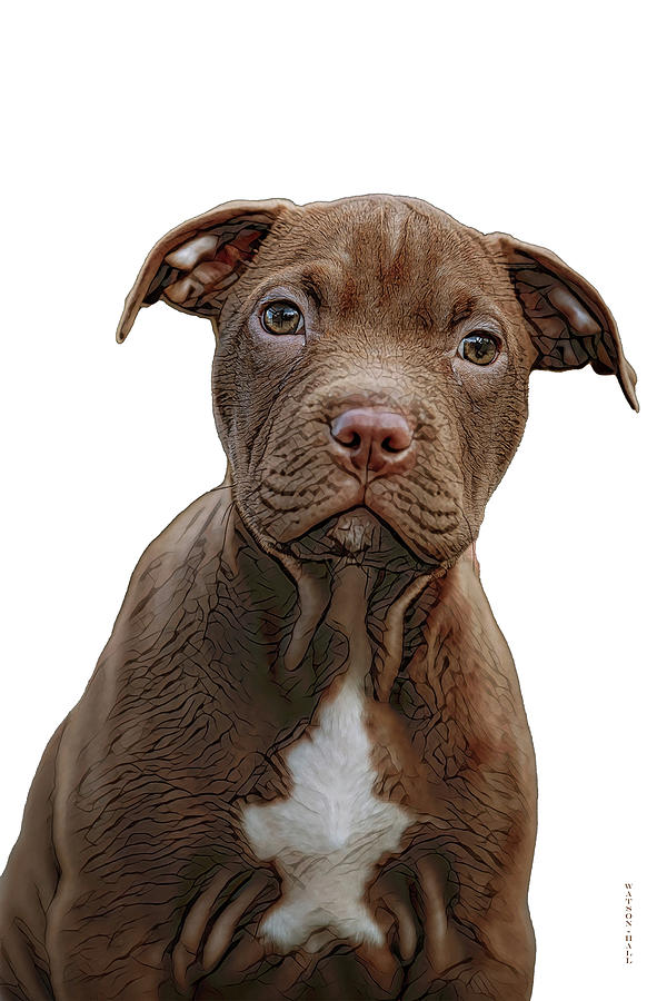 Pitbull puppy Digital Art by Donna Watson-Hall and Art Crew NZ