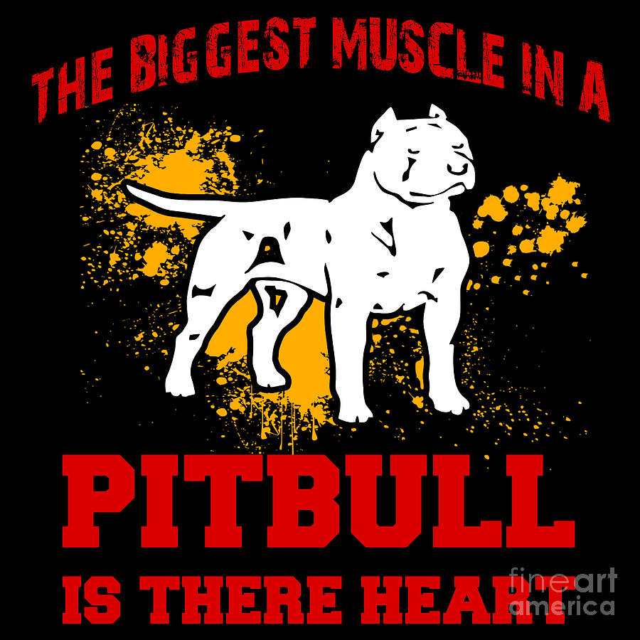 Pitbull Shirt The Biggest Muscle In A Pitbull Is Their Heart Gift Tee  Digital Art by Haselshirt - Fine Art America