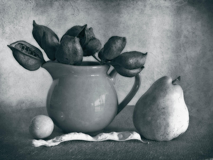 Pitcher Pods and a Pear Photograph by Sandra Selle Rodriguez