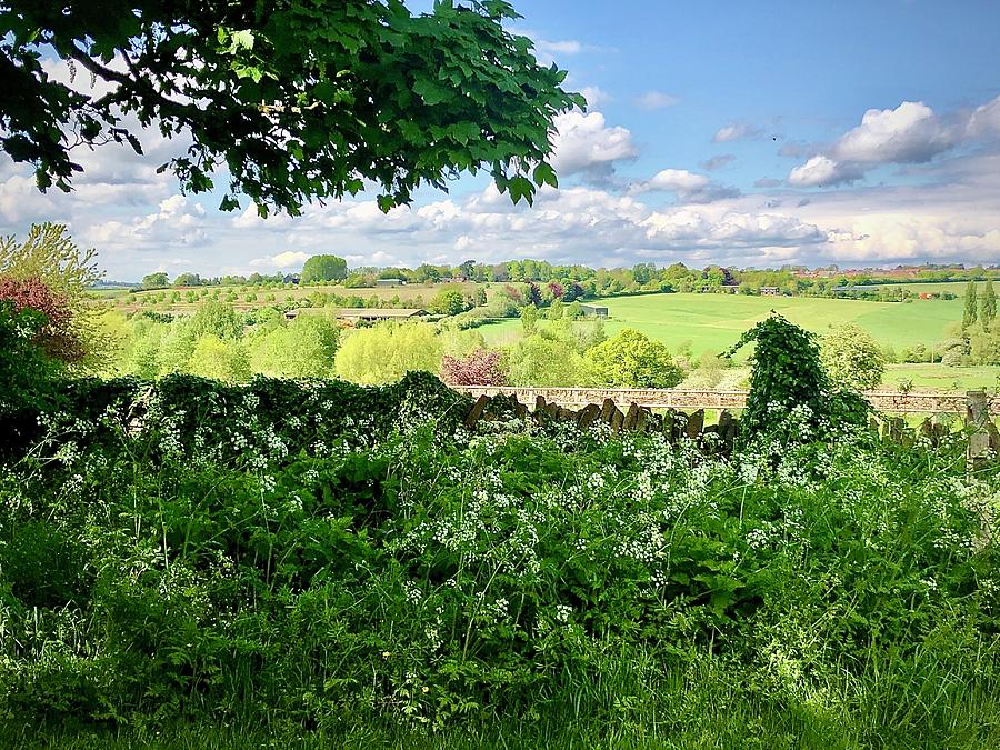 Pitsford Countryside Photograph by Gordon James