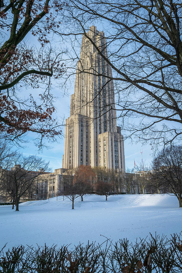 Pitt Campus In Snow Photograph By Aaron Geraud - Fine Art America