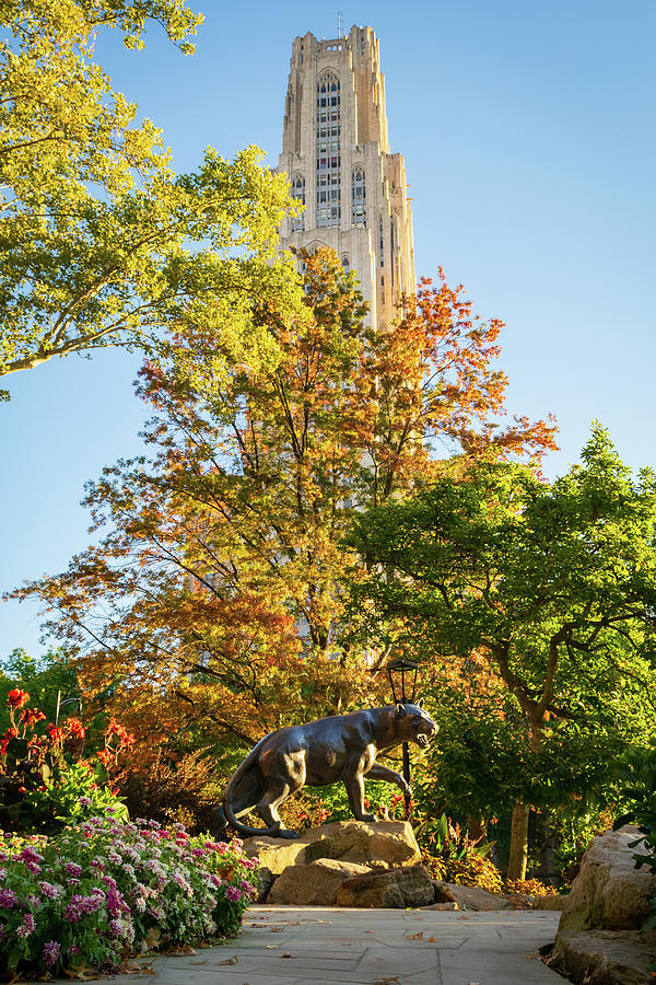 Pitt Campus University of Pittsburgh Fall Print Photograph by Aaron