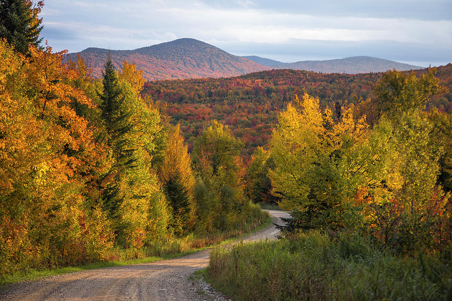 Pittsburg Autumn Road Photograph by White Mountain Images
