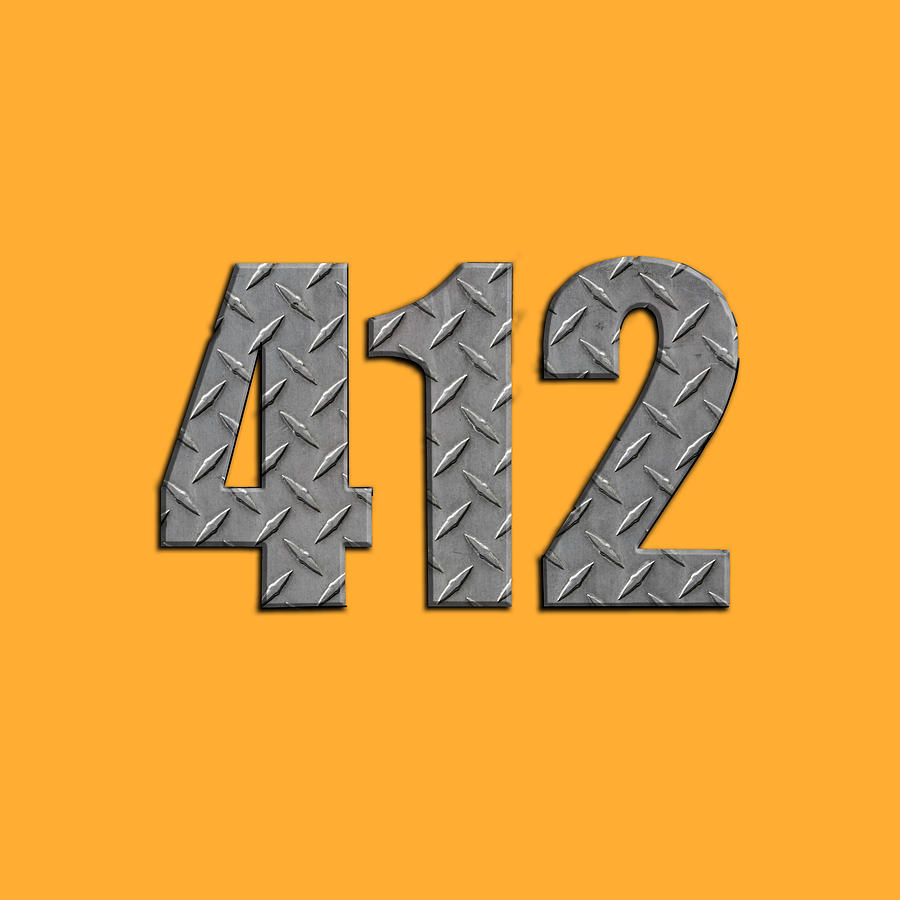 BoredWalk Boy's Pittsburgh 412 Area Code T-Shirt, 4T / Black