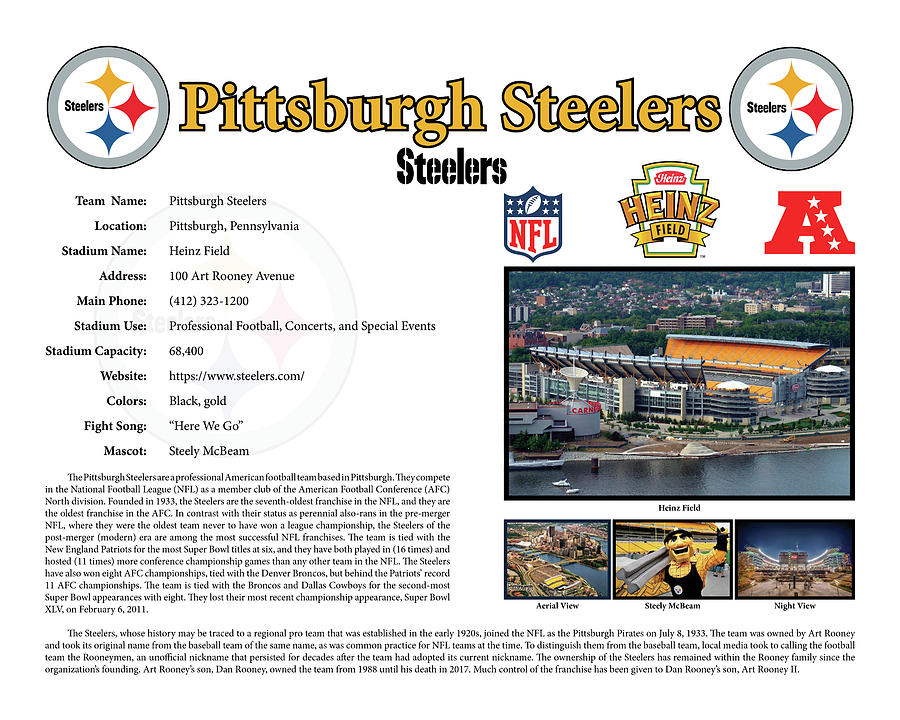 https://images.fineartamerica.com/images/artworkimages/mediumlarge/3/pittsburgh-steelers-poster-bob-wood.jpg