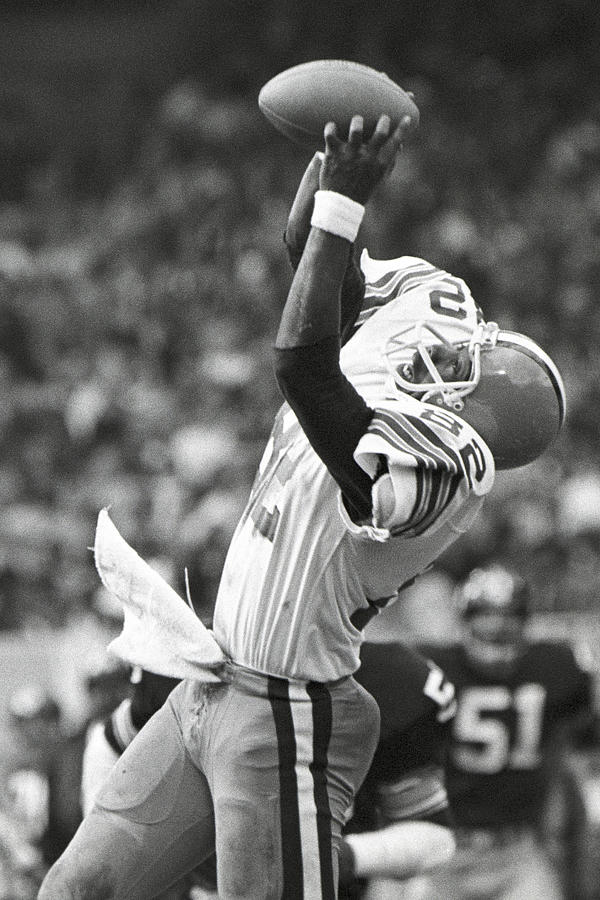 Pittsburgh Steelers v Cleveland Browns Photograph by Ron Kuntz Collection