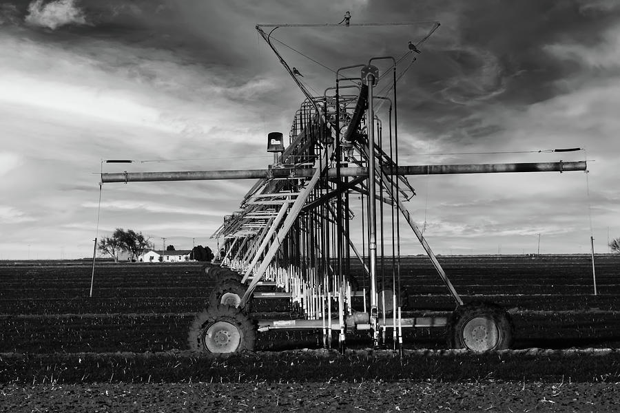 Pivot at Sunset Black and White Photograph by Steve Templeton