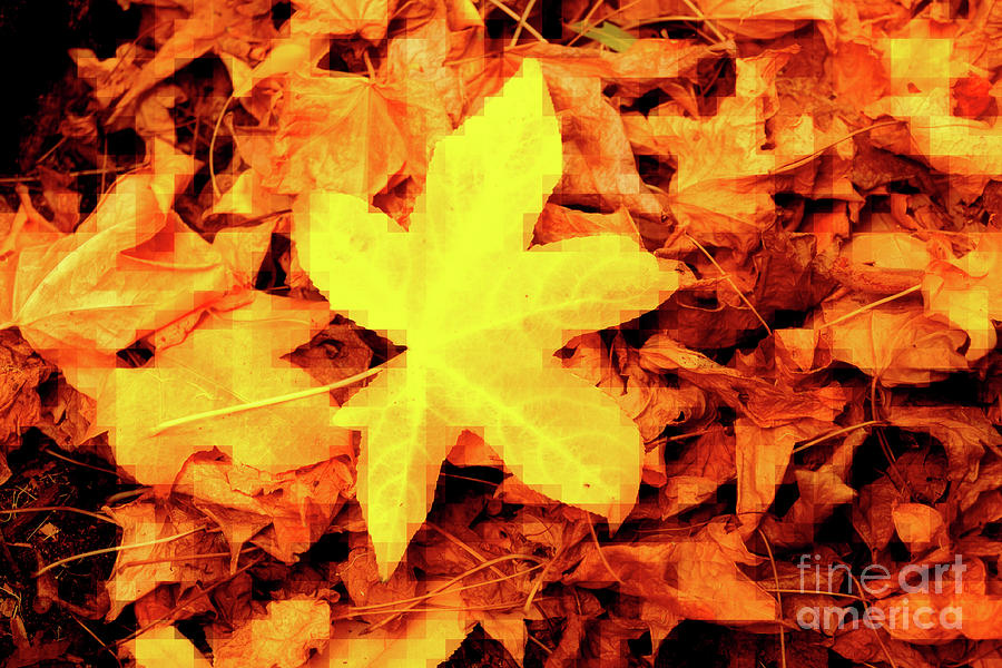 Pixelated Autumn Photograph by Cassandra Buckley