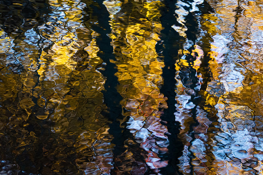 Pixelated Fall Photograph by Linda Bonaccorsi