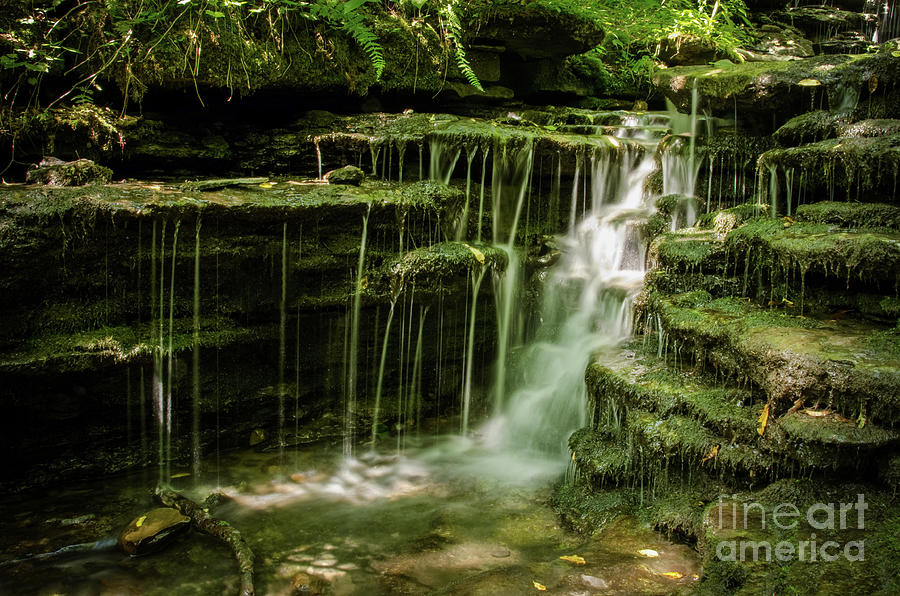 Pixley Waterfall 1 Forest Creek Rural Landscape Photograph Photograph by PIPA Fine Art - Simply Solid