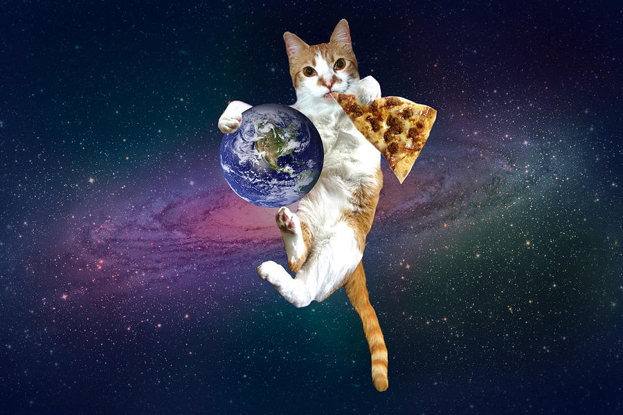Pizza cat space cat in space cat lover Digital Art by Johnnie Art