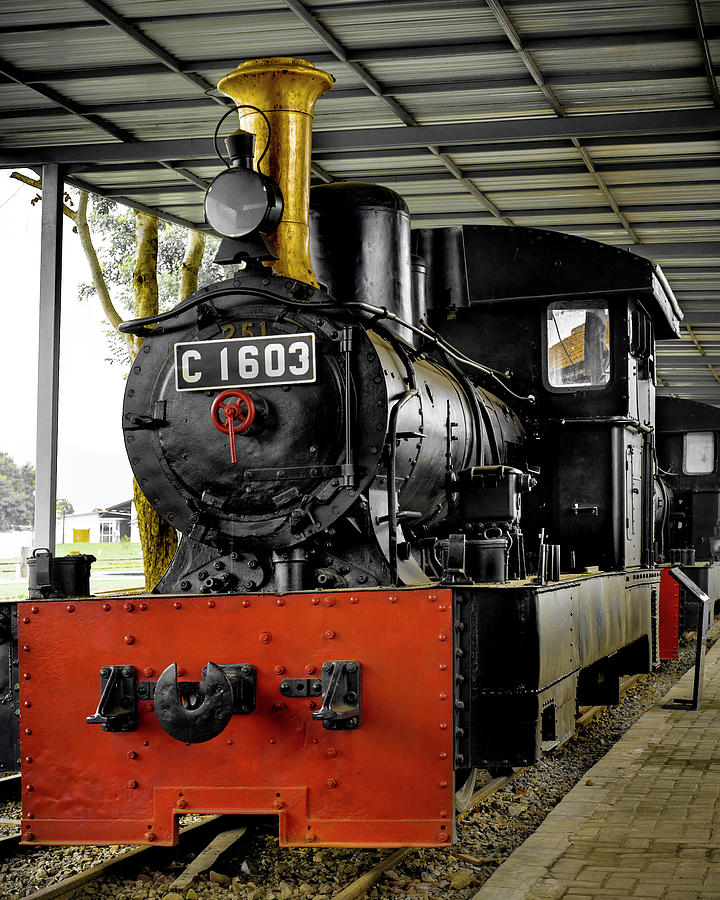  PJKA  steam locomotive No C1603 Photograph by Glen Allison