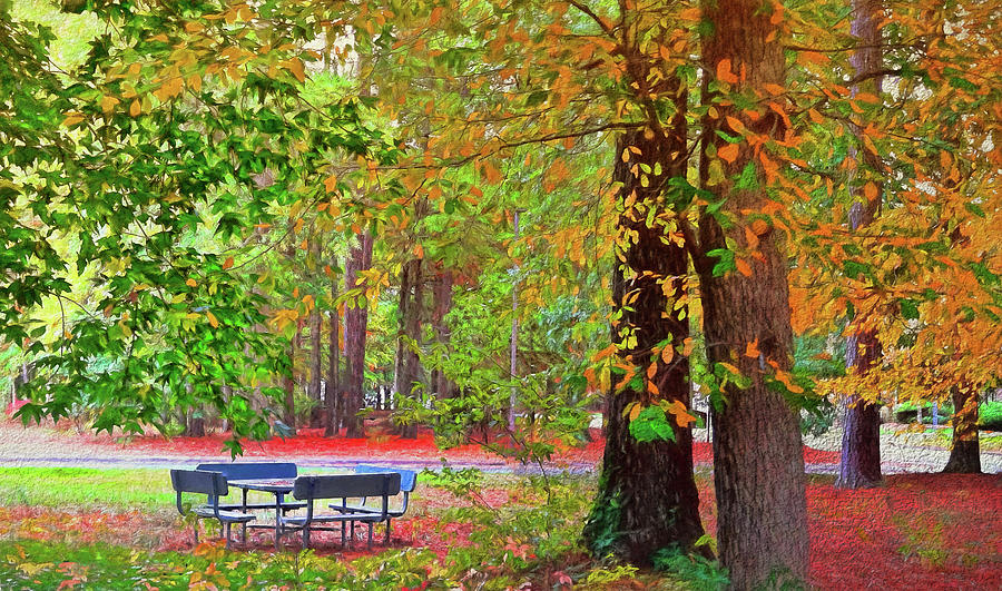 Place Where Friends Meet in Autumn Photograph by Ola Allen