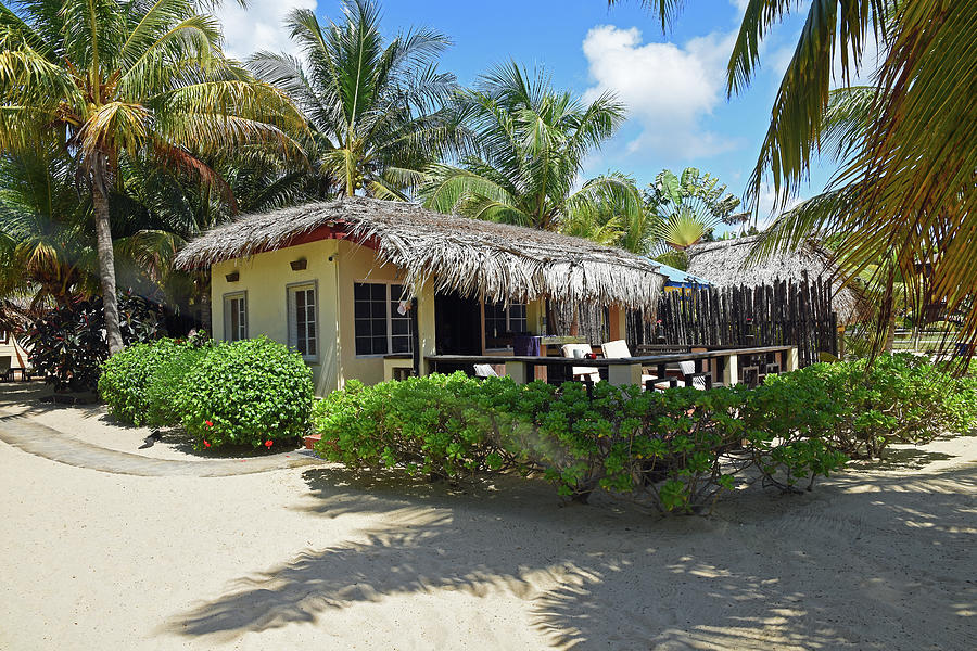 Placencia, Belize Beach Cabana Resort Photograph by Mitch Knapton ...