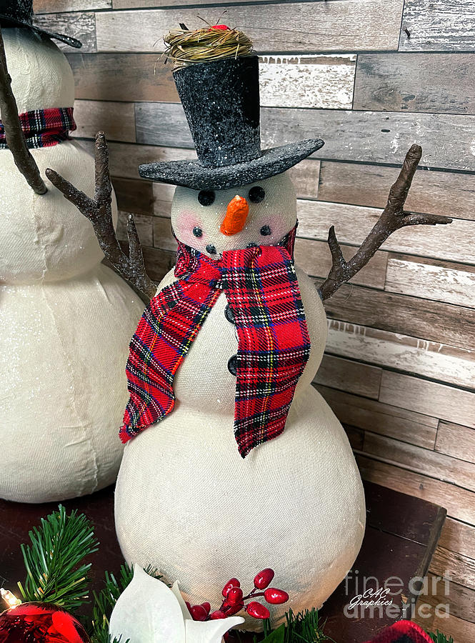 Plaid Scarf Snowman Photograph by CAC Graphics