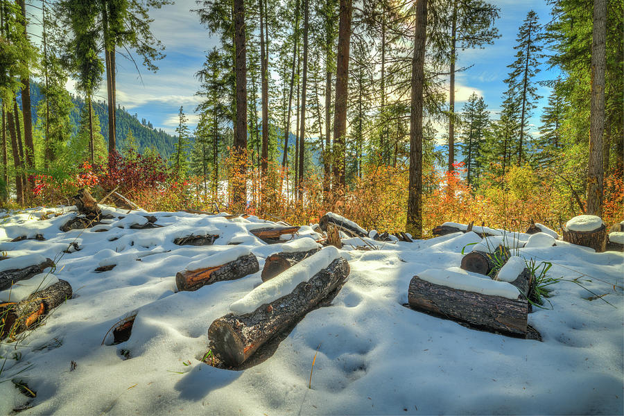 Plain Winter View Photograph by Spencer McDonald