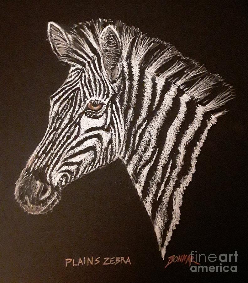 Plains Zebra Pastel