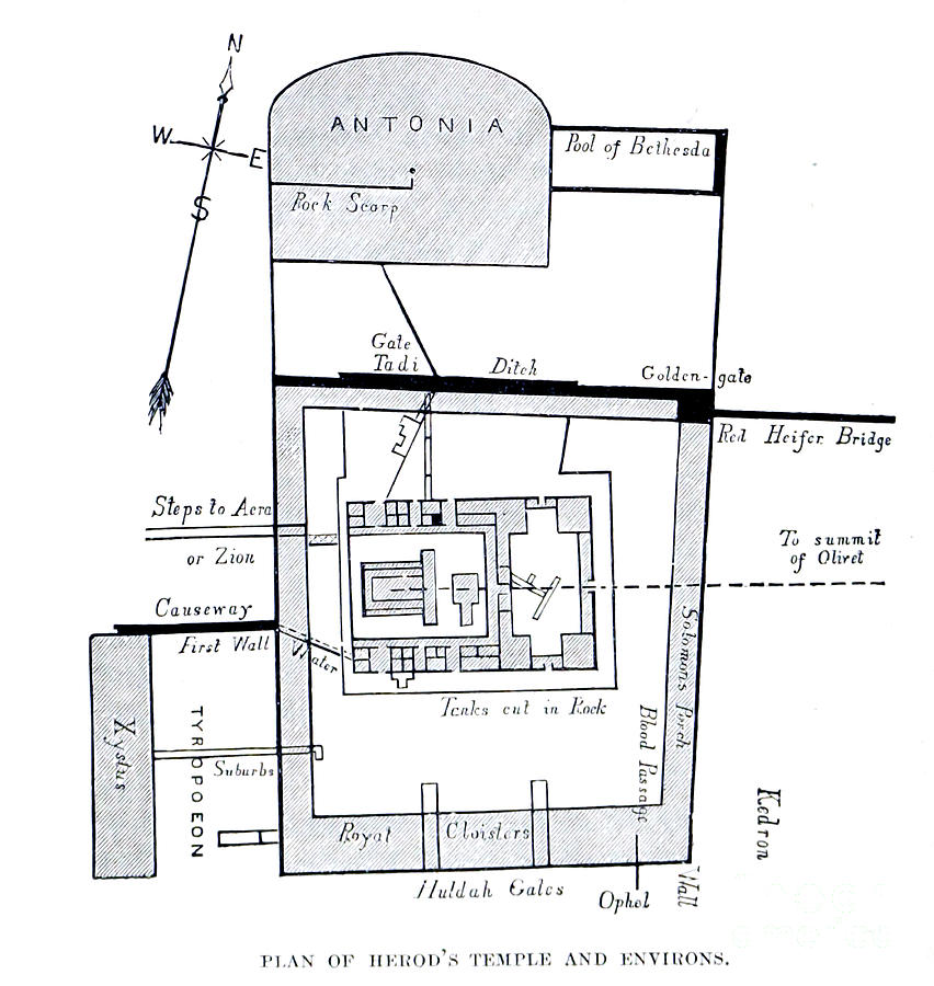 Plan of Herod's Temple and Environs e1 Drawing by Historic ...