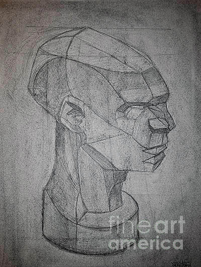 Planar Head Model Drawing by Nicole Robles