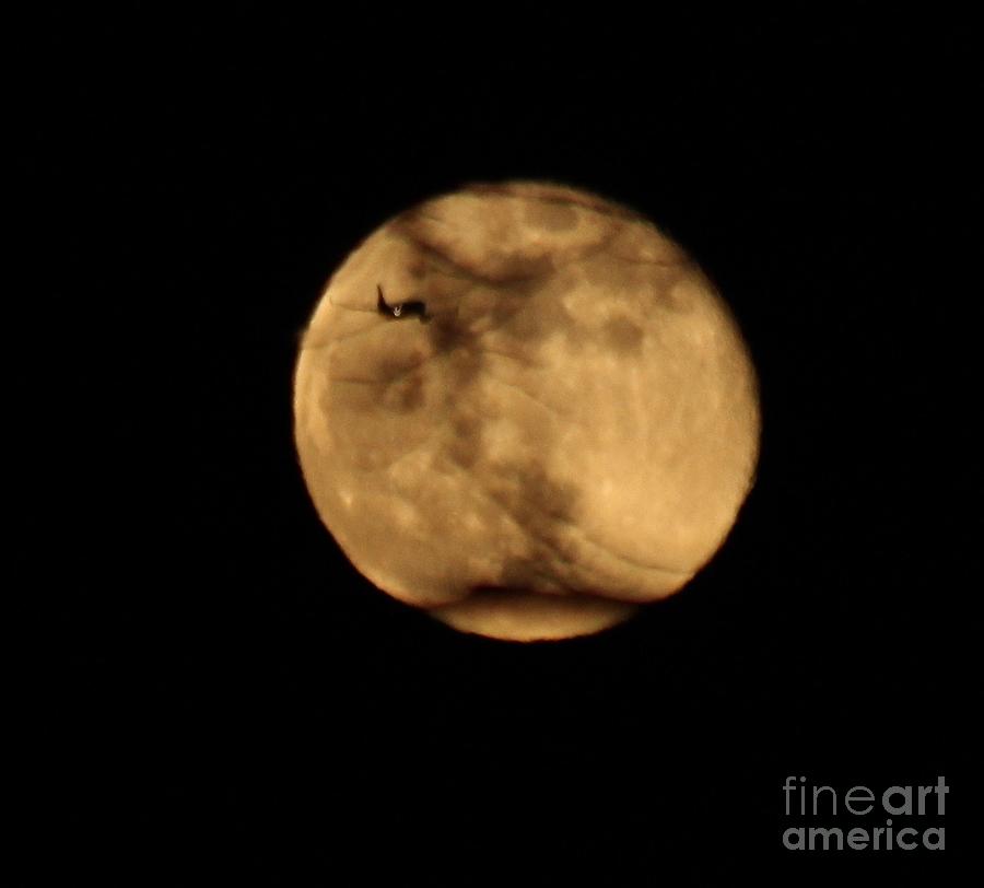 Plane to the Moon Photograph by Ann E Robson
