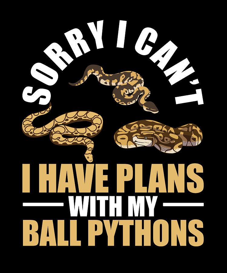 Plans With My Ball Pythons Snake Boa Pet Reptile Digital Art by Florian ...