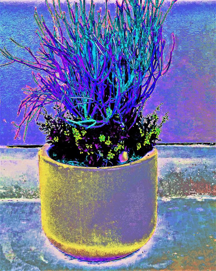 Plant a la Painting Photograph by Andrew Lawrence
