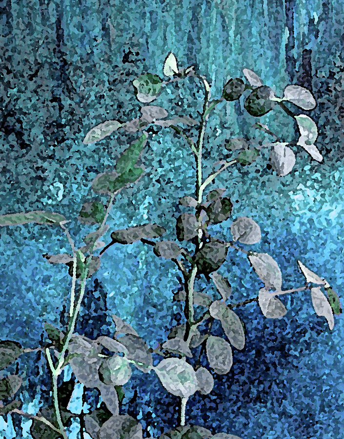Plant in Blue Light Photograph by Corinne Carroll