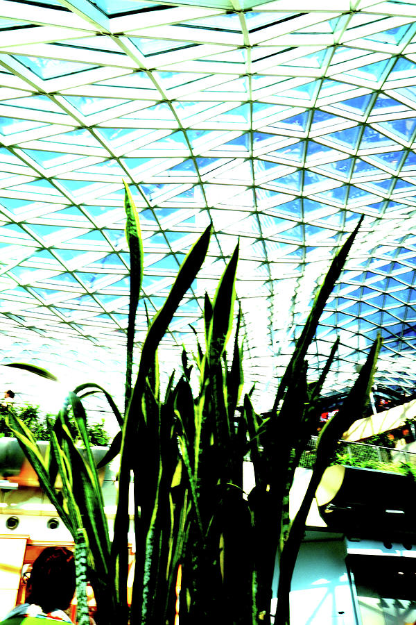 Plant In Mall In Warsaw, Poland 3 Photograph by John Siest