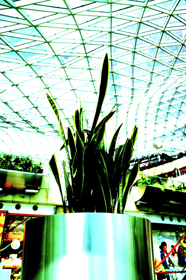 Plant In Mall In Warsaw, Poland 6 Photograph by John Siest