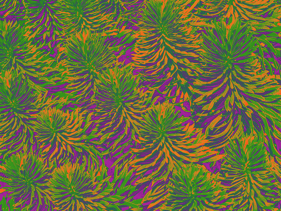 Plant Patterns In Colors Digital Art by David Desautel
