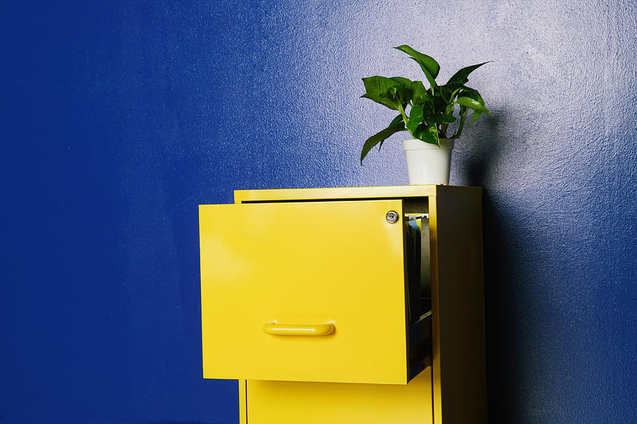 Plant sitting on top of open file cabinet Photograph by Ken Chernus