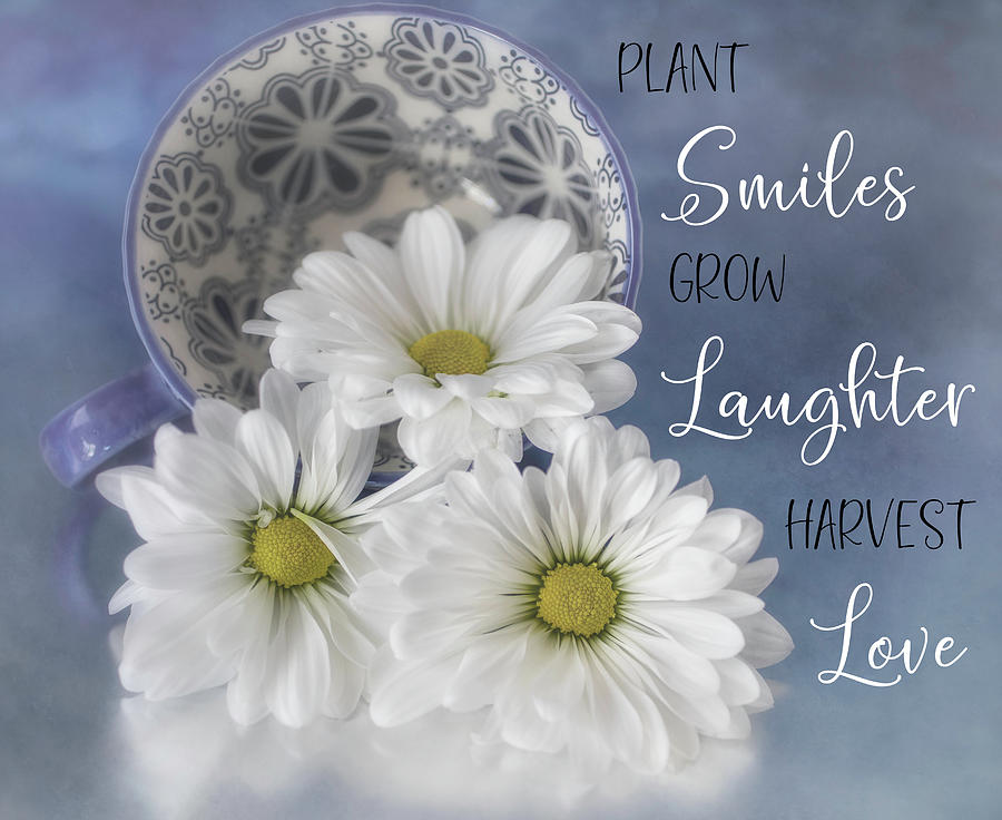 Plant Smiles Photograph by Teresa Wilson