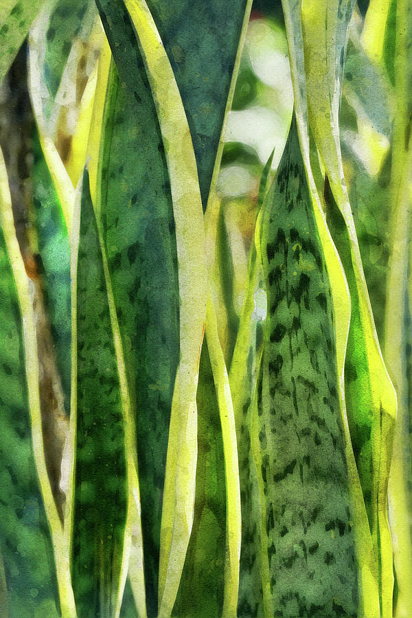 Plant Vibrancy Photograph by Leda Robertson