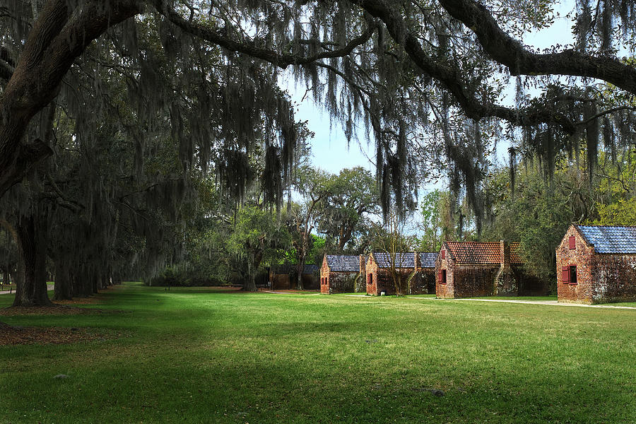 Plantation Cabins in Charleston Photograph by Jon Glaser