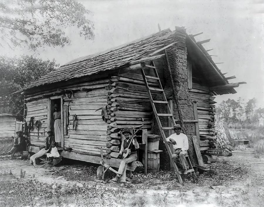 Plantation Life Florida 1892 Photograph by O Pierre Havens