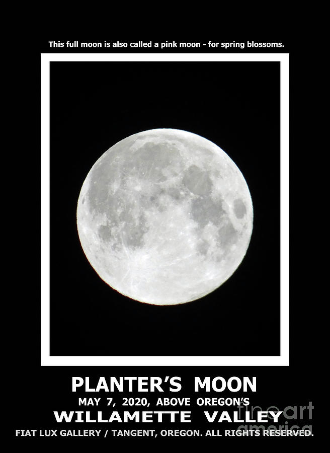 Planter's Moon Photograph by Michael Moore Fine Art America