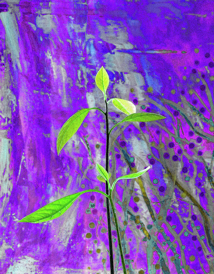 Plants 124 Mixed Media by Corinne Carroll