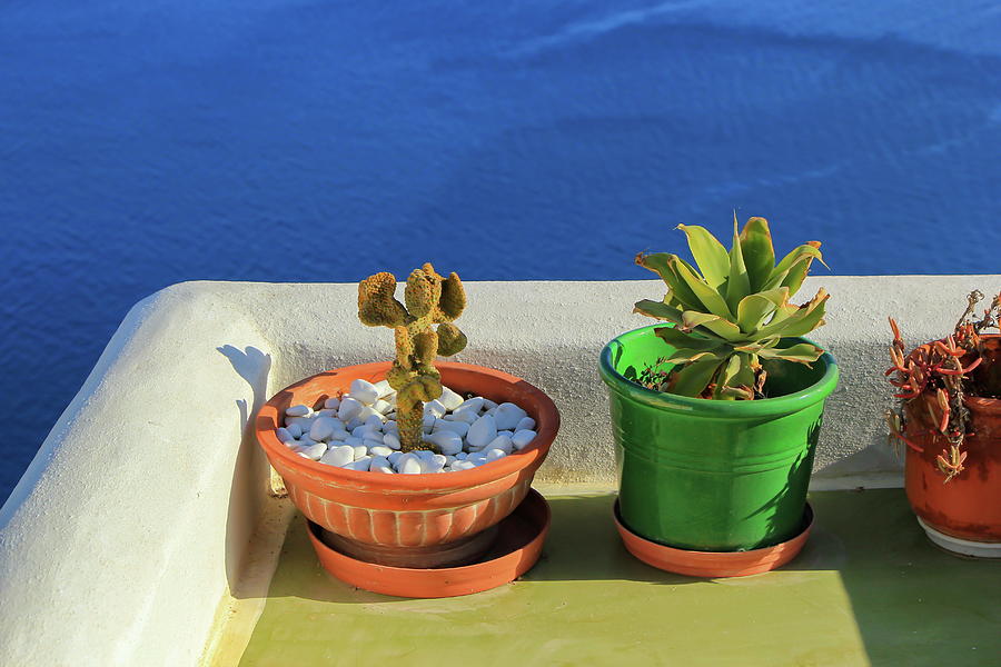 Plants at a balcony at Oia village in the Caldera, Greece Photograph by Elenarts - Elena Duvernay photo